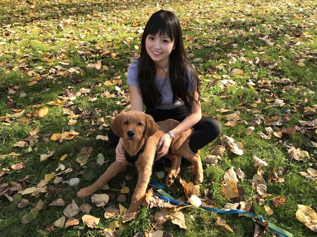 バンクーバーの公園で子犬と
